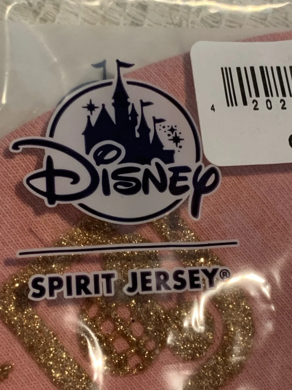 Walt Disney World Briar Rose Gold Face Mask by Spirit Jersey size L